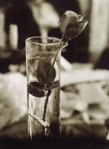 Josef Sudek (1896-1976)Rosa nel bicchiere di vetro, 1950-54